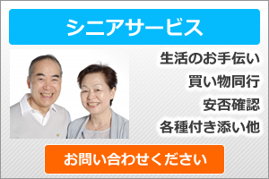 高齢者支援、シニアサービス